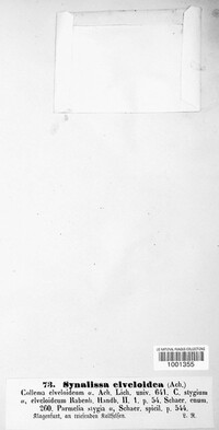 Image Associated With the Occurence